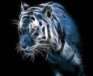 Wall paper Designs - New designs